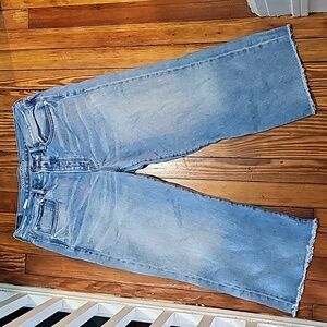 American Eagle Outfitters Wide Leg Crop Jeans